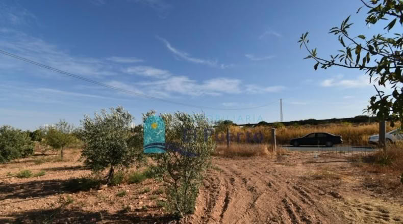 Murcia - Фуэнте Аламо де Мурсия - 15967m2