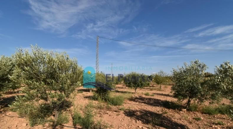 Murcia - Фуэнте Аламо де Мурсия - 15967m2