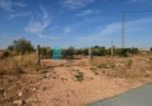 Terreny no urbanitzable en venda a la España, Fuente Álamo, ref.: TR337644 foto