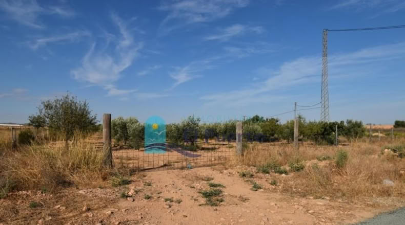 Murcia - Фуэнте Аламо де Мурсия - 15967m2