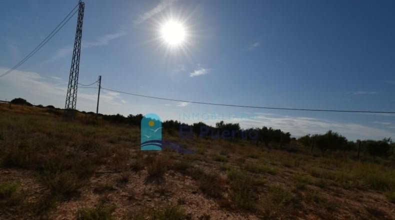 Murcia - Фуэнте Аламо де Мурсия - 15967m2