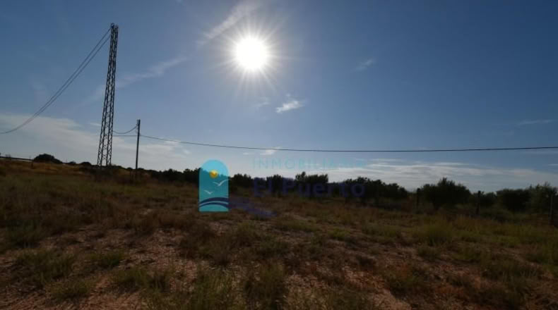 Murcia - Фуэнте Аламо де Мурсия - 15967m2