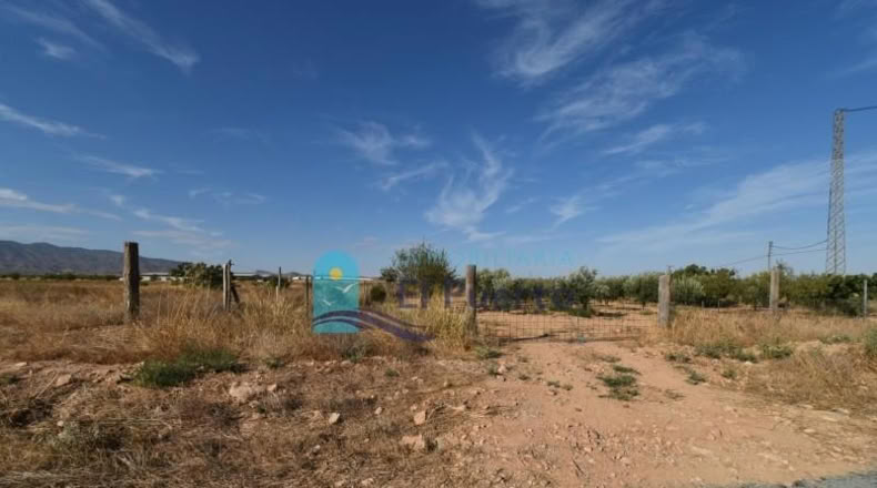 Murcia - Фуэнте Аламо де Мурсия - 15967m2