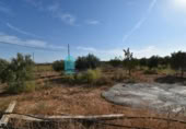 Terreny no urbanitzable en venda a la España, Fuente Álamo, ref.: TR337644 foto