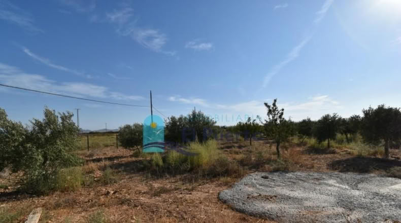 Murcia - Фуэнте Аламо де Мурсия - 15967m2