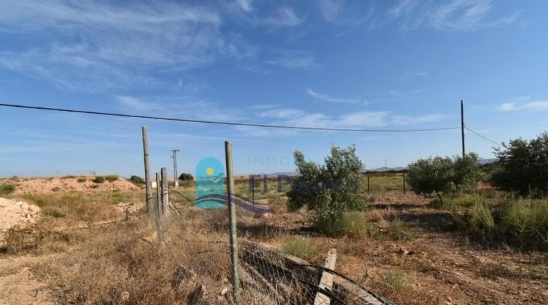 Murcia - Фуэнте Аламо де Мурсия - 15967m2