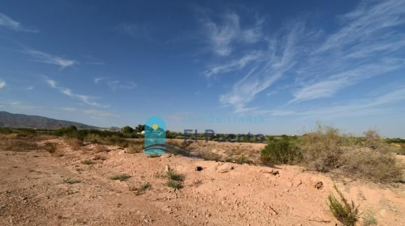 Murcia - Фуэнте Аламо де Мурсия - 15967m2