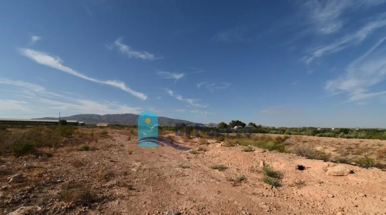 Murcia - Фуэнте Аламо де Мурсия - 15967m2