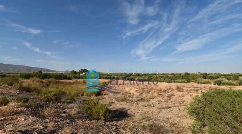 Murcia - Фуэнте Аламо де Мурсия - 15967m2
