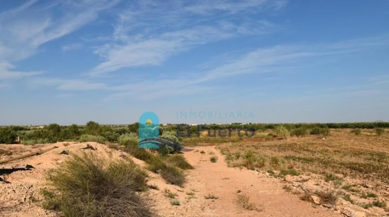 Murcia - Фуэнте Аламо де Мурсия - 15967m2