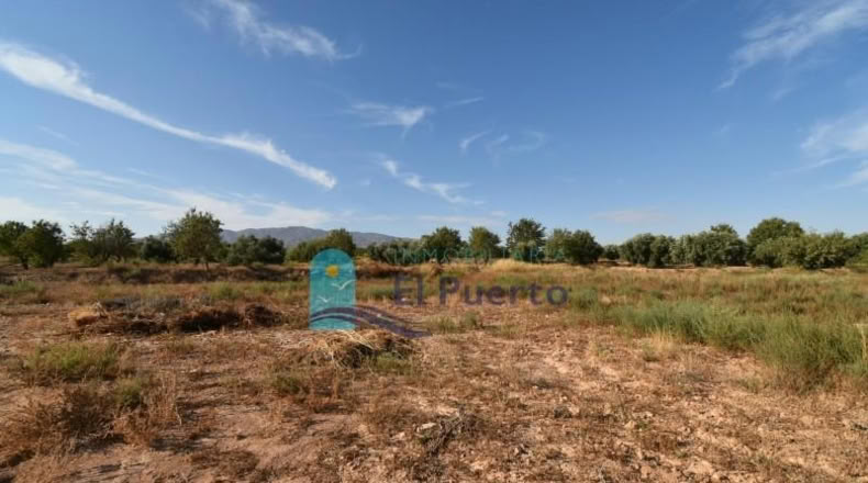 Murcia - Фуэнте Аламо де Мурсия - 15967m2