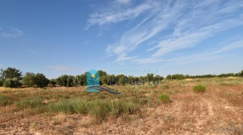 Murcia - Фуэнте Аламо де Мурсия - 15967m2