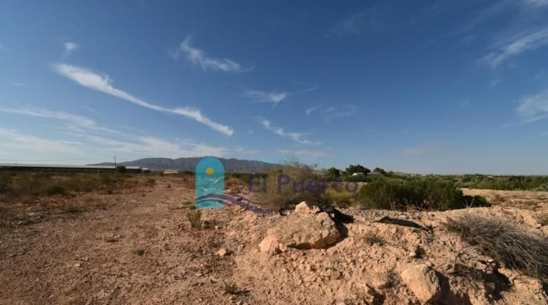 Murcia - Фуэнте Аламо де Мурсия - 15967m2