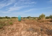 Terreny no urbanitzable en venda a la España, Fuente Álamo, ref.: TR337644 foto