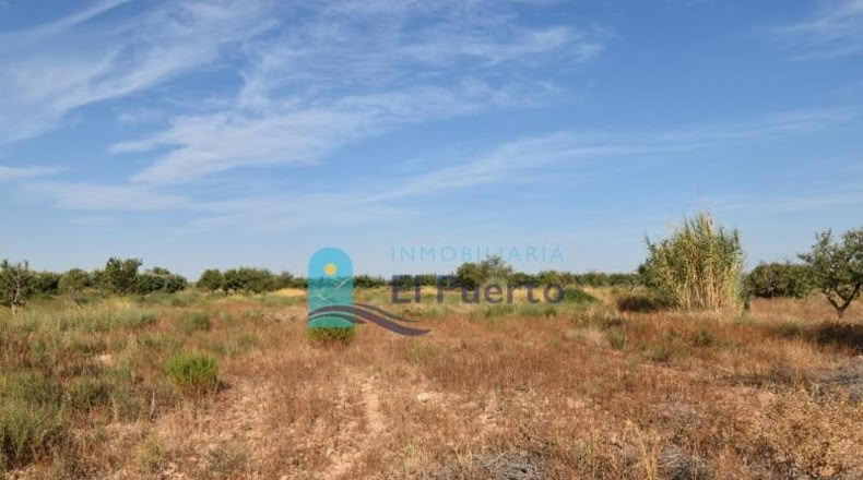 Murcia - Фуэнте Аламо де Мурсия - 15967m2
