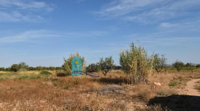 Murcia - Фуэнте Аламо де Мурсия - 15967m2