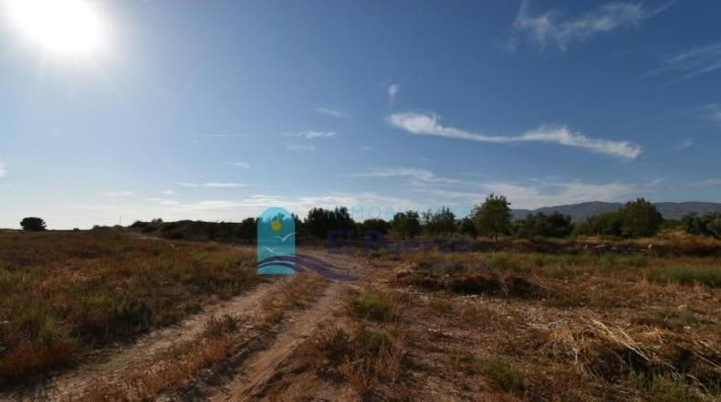 Murcia - Фуэнте Аламо де Мурсия - 15967m2