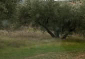 Terreny no urbanitzable en venda a la España, Fuensanta de Martos, ref.: TR219184 foto