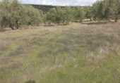 Terreny no urbanitzable en venda a la España, Fuensanta de Martos, ref.: TR219184 foto