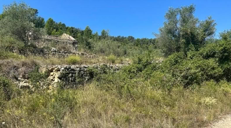 Tarragona - Mas de Barberans - 40954m2