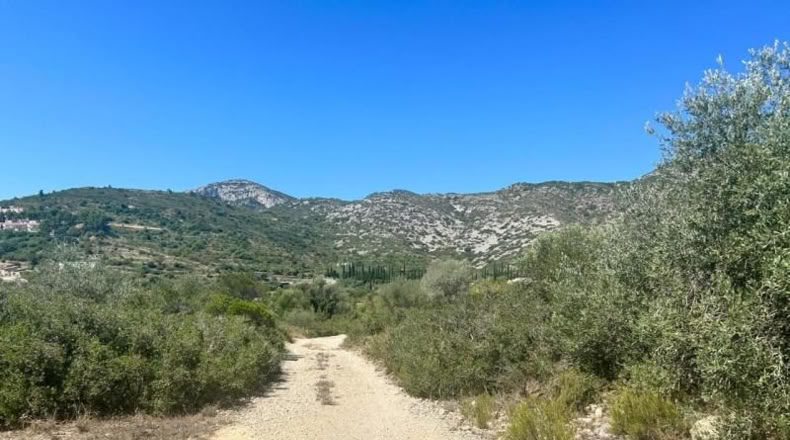 Tarragona - Mas de Barberans - 40954m2