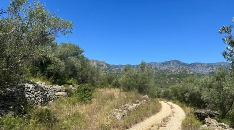 Tarragona - Mas de Barberans - 40954m2