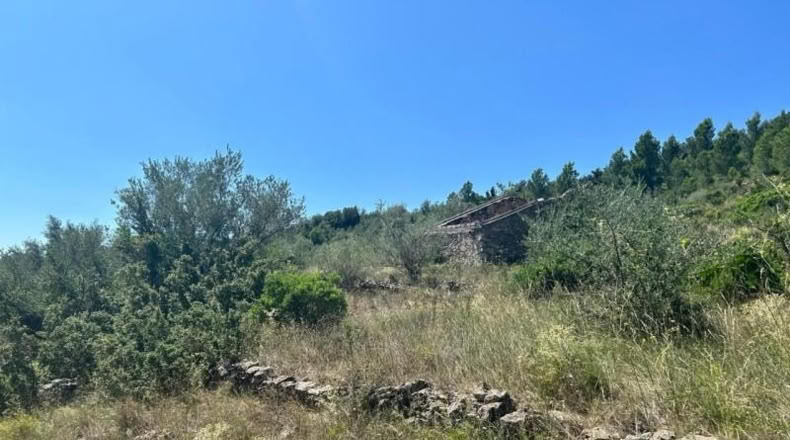 Tarragona - Mas de Barberans - 40954m2