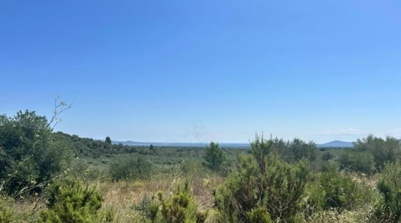Tarragona - Mas de Barberans - 40954m2
