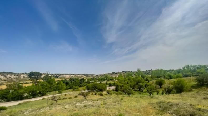Toledo - Lillo - 1254m2