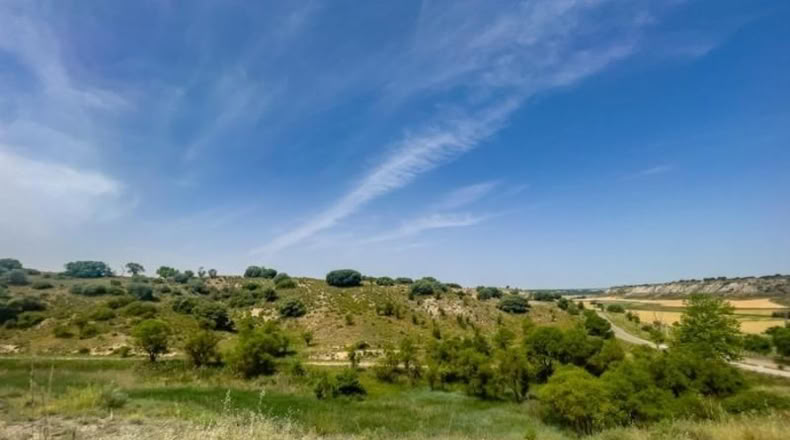 Toledo - Lillo - 1254m2