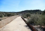 Terreny no urbanitzable en venda a la España, la Vall d'Alba, ref.: TR237231 foto