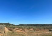 Terreny no urbanitzable en venda a la España, la Vall d'Alba, ref.: TR237231 foto