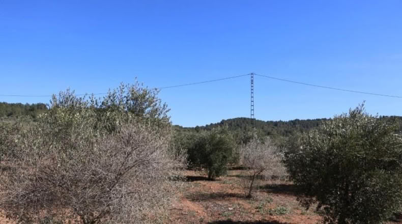 Castellon - Vall d'Alba - 12283m2