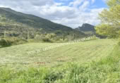 Non-developable land for sale on España, Estella, ref: TR243399 photo