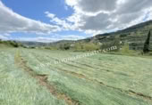 Non-developable land for sale on España, Estella, ref: TR243399 photo