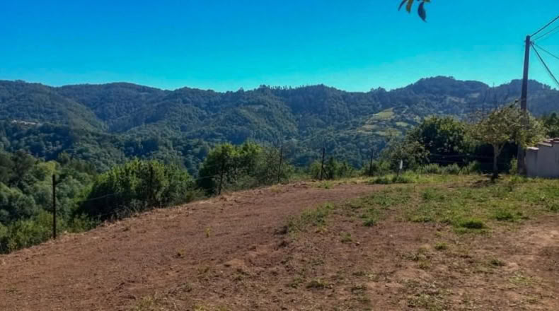 Asturias - Villaviciosa - 439m2