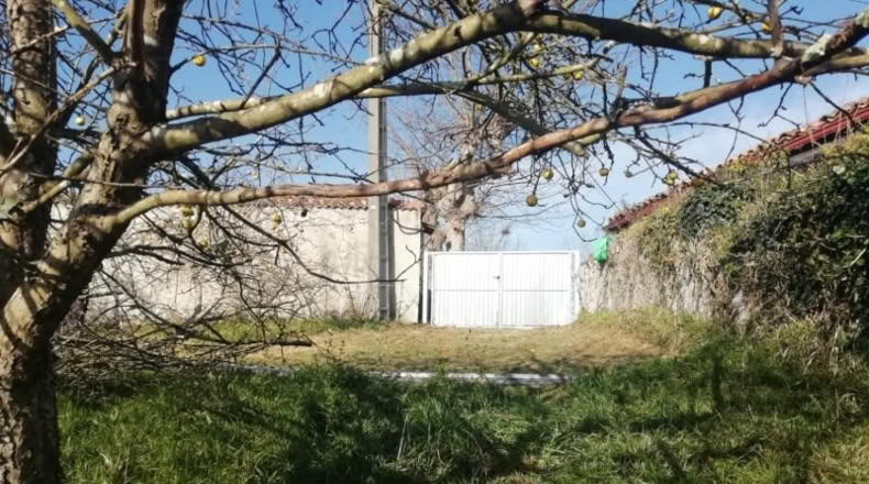 Asturias - Villaviciosa - 439m2