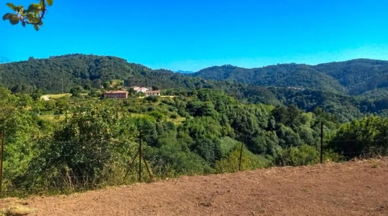 Asturias - Villaviciosa - 439m2