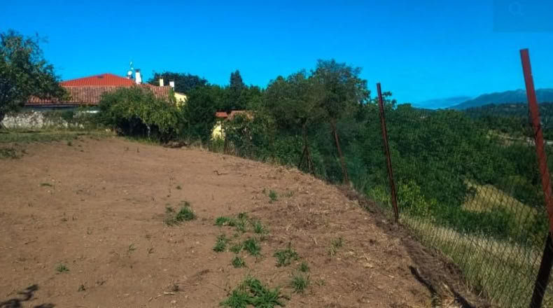 Asturias - Villaviciosa - 439m2