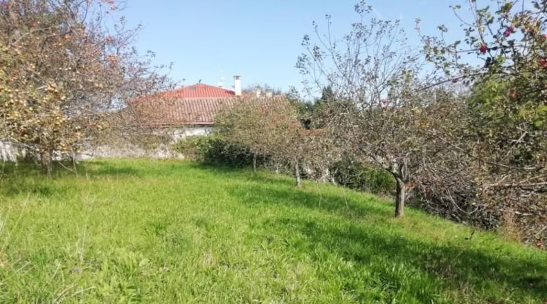 Asturias - Villaviciosa - 439m2