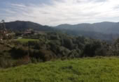 Parcel·la urbanitzable en venda a la España, Villaviciosa, ref.: TR223288 foto