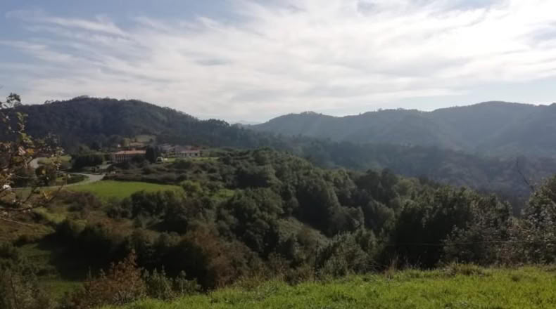 Asturias - Villaviciosa - 439m2