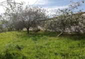 Parcel·la urbanitzable en venda a la España, Villaviciosa, ref.: TR223288 foto