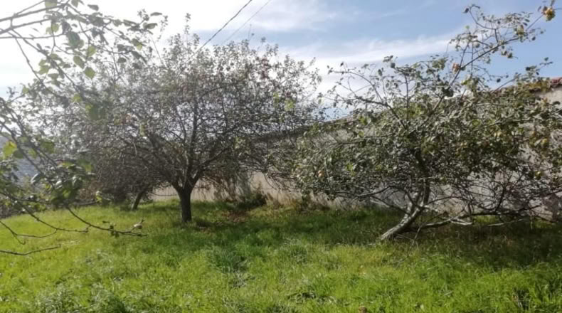 Asturias - Villaviciosa - 439m2