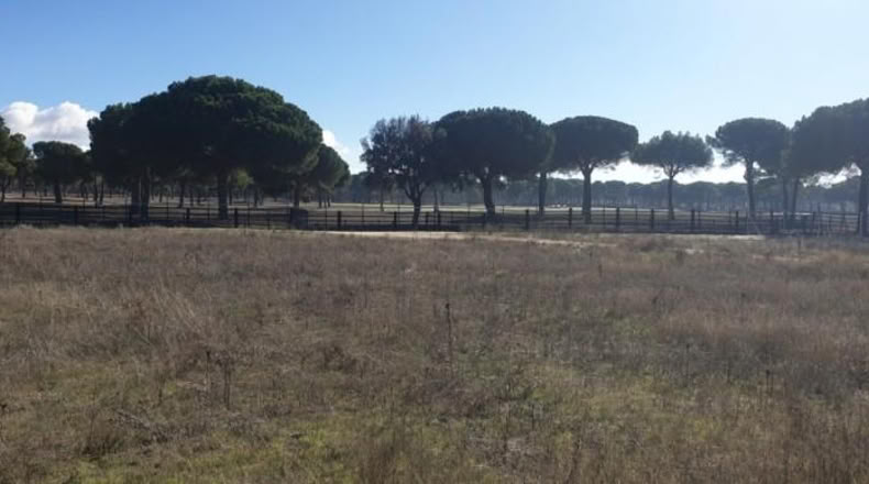 Valladolid - Aldeamayor de San Martín - 1173m2