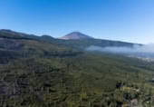 Non-developable land for sale on España, La Orotava, ref: TR352324 photo