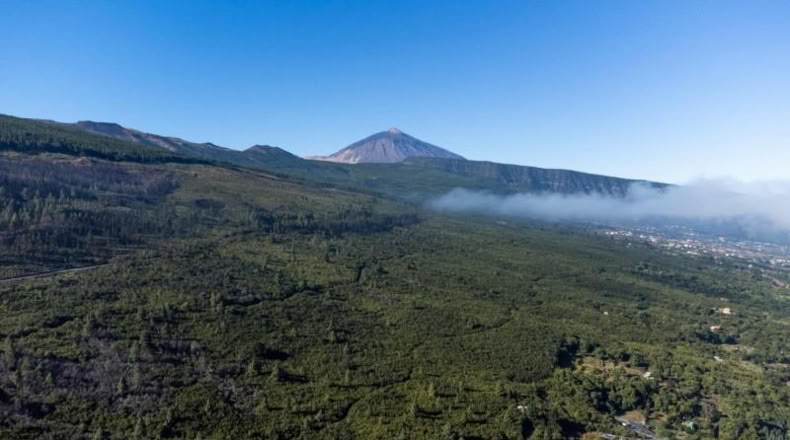 Santa Cruz de Tenerife - La Orotava - 1900m2
