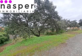 Guillena 1170&nbsp;м²