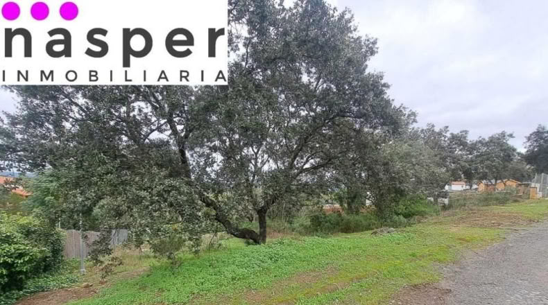 Sevilla - Guillena - 1170m2