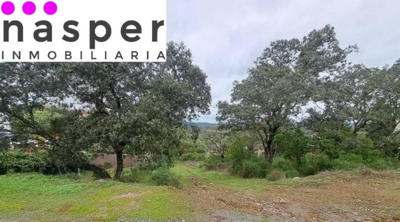 Sevilla - Guillena - 1170m2